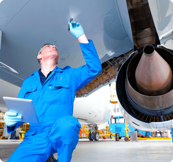 Inspection Service